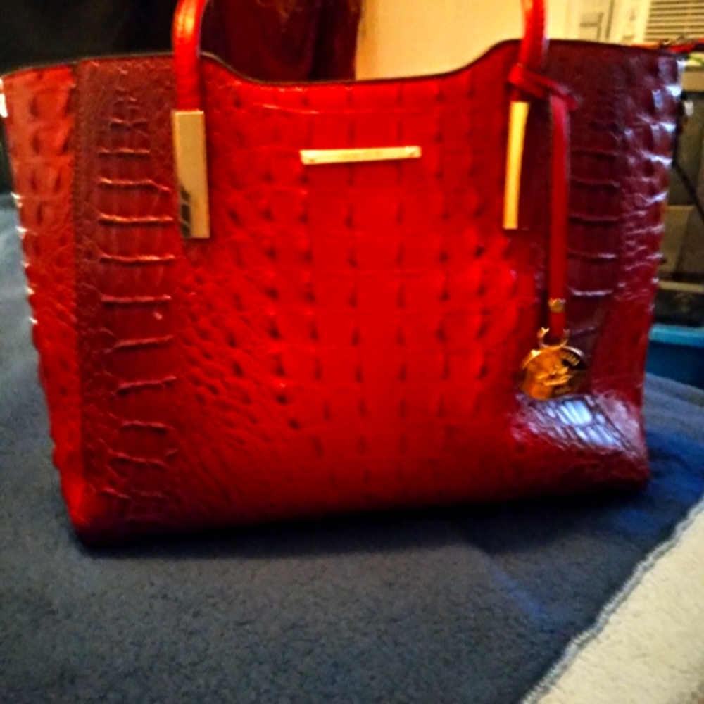 Brahmin purse